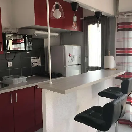 2 Pieces En Face De L'ocean * Biscarrosse